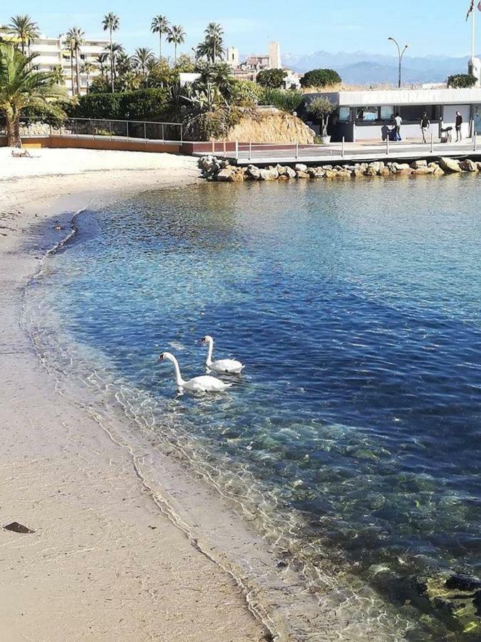 Studio Standing Bord De Mer Et Vue Antibes Buitenkant foto